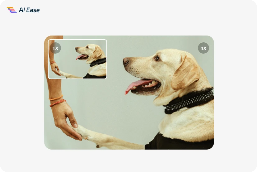 enlarge image of a dog in AI Ease free photo enlarger