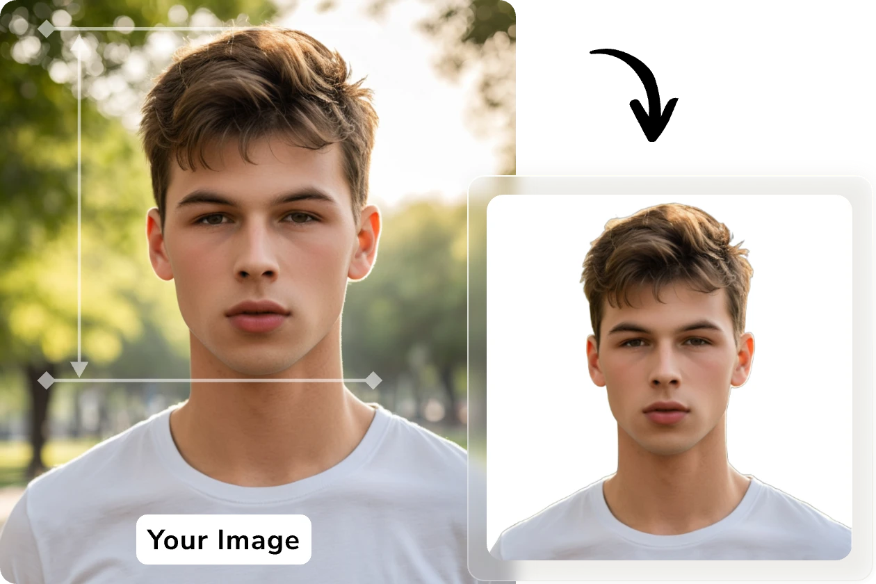 make male passport photo in AI Ease by automatically removing and changing background and autocentering