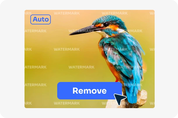 AI removes the full screen watermark from the bird image in AI Ease