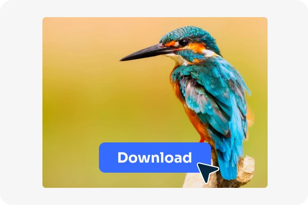 download the watermark free bird image in AI Ease online watermark remover