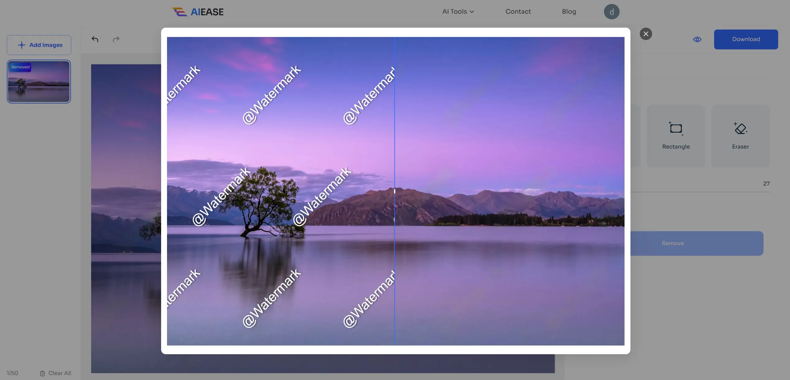 preview the result of image watermark removal with ai ease