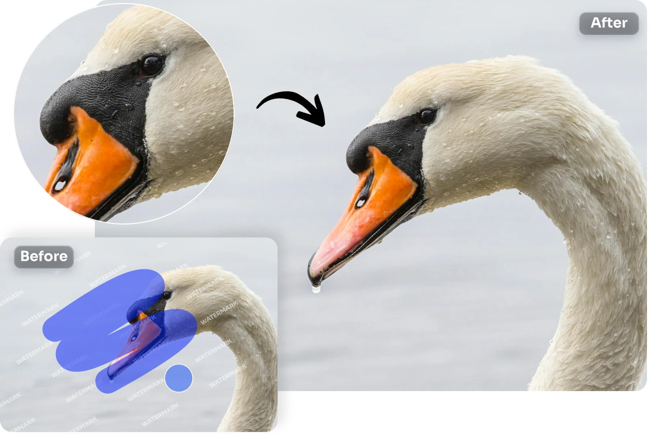 refine the image watermark removal of a cane image in AI Ease online watermark remover