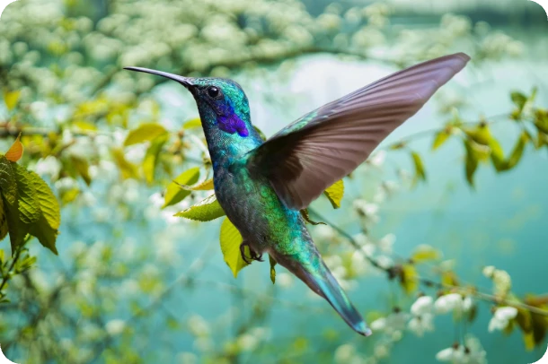 add green leaf background to a bird image