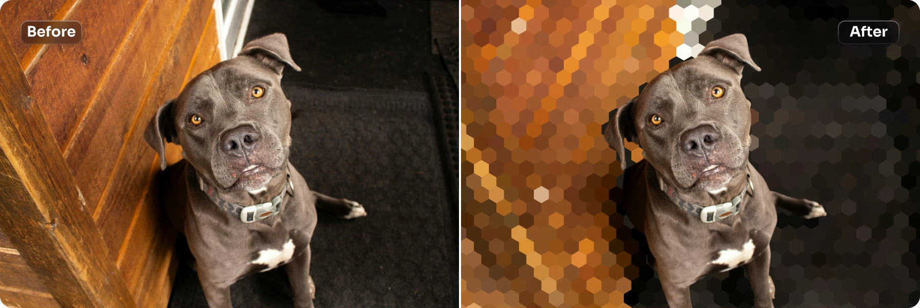 apply the pixelate blur to the black dog picture background in AI Ease