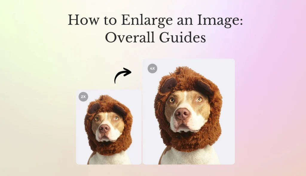 banner of how to enlarge photo