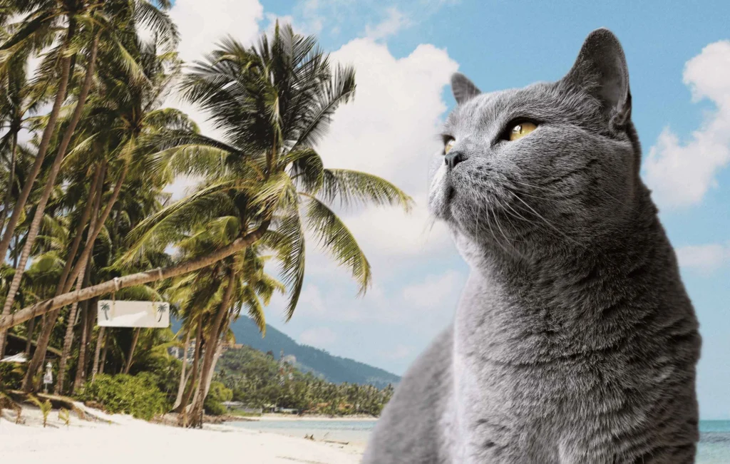 a cat with a beach background generated by ai