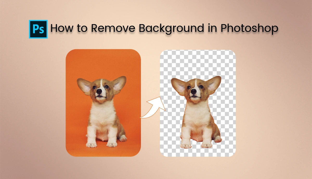 how to remove backgrounds in photoshop