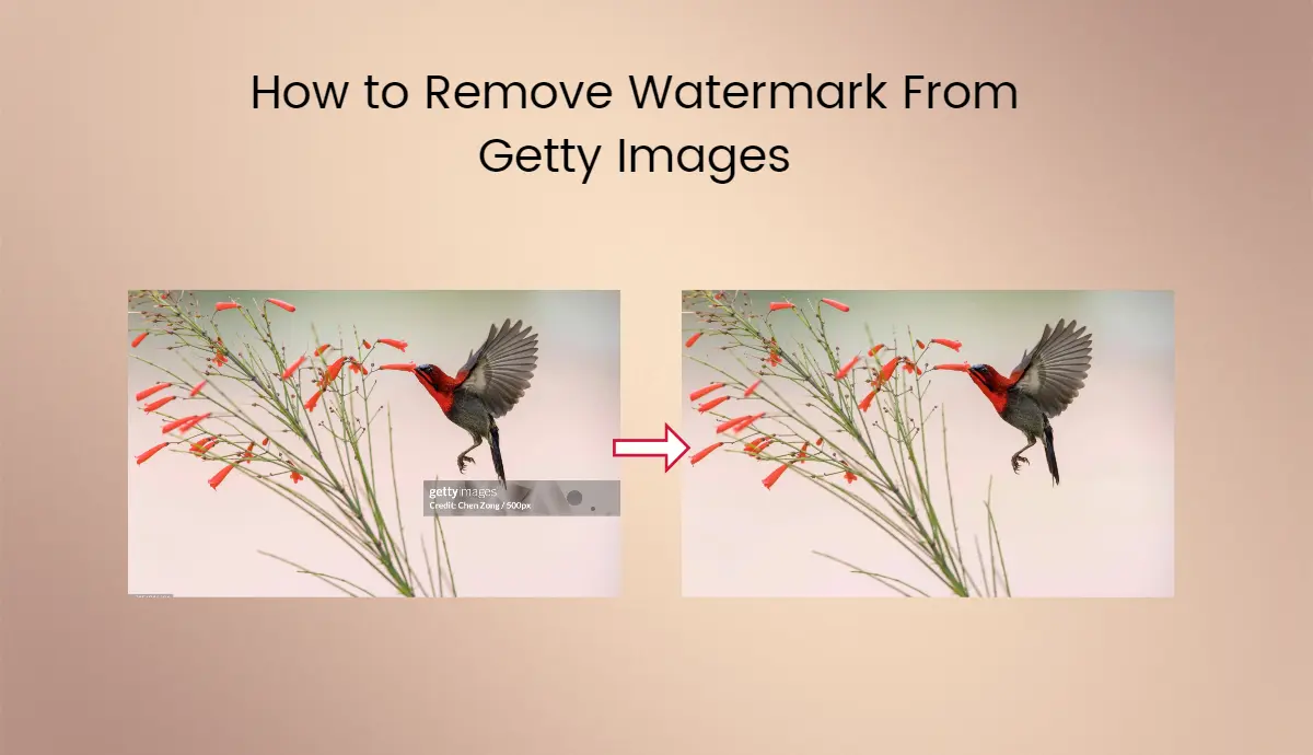 how to remove watermark from getty images blog cover