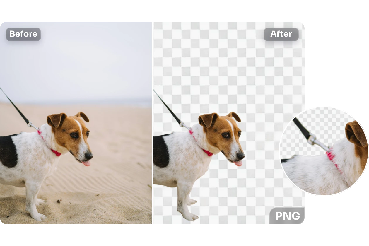 transform the dog image into transparent png in hd quality in AI Ease free png maker