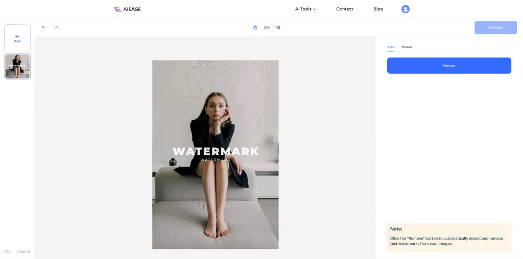 aiease watermark remover automatically detects the text on the photo