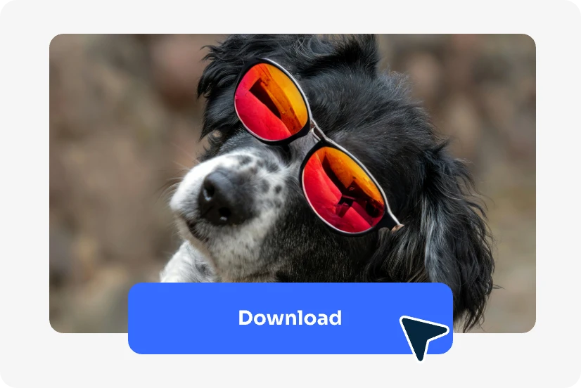 download the result photo with a pair of sunglasses