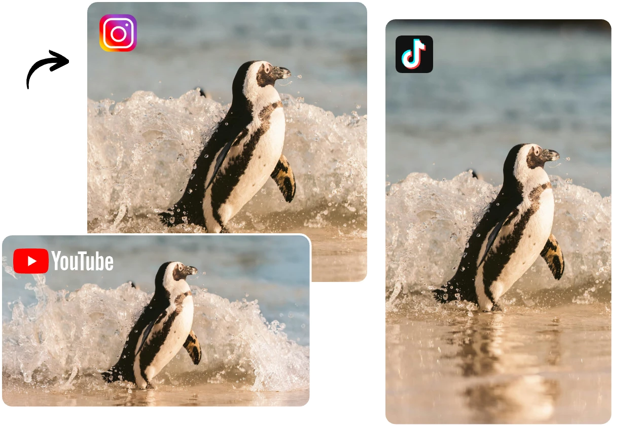 extend a penguin on beach image horizontally or vertically with ai image extender