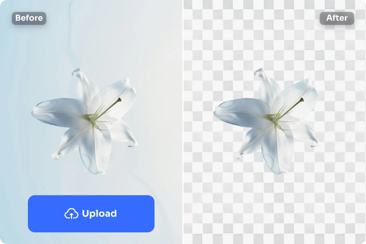 remove background from a white flower image