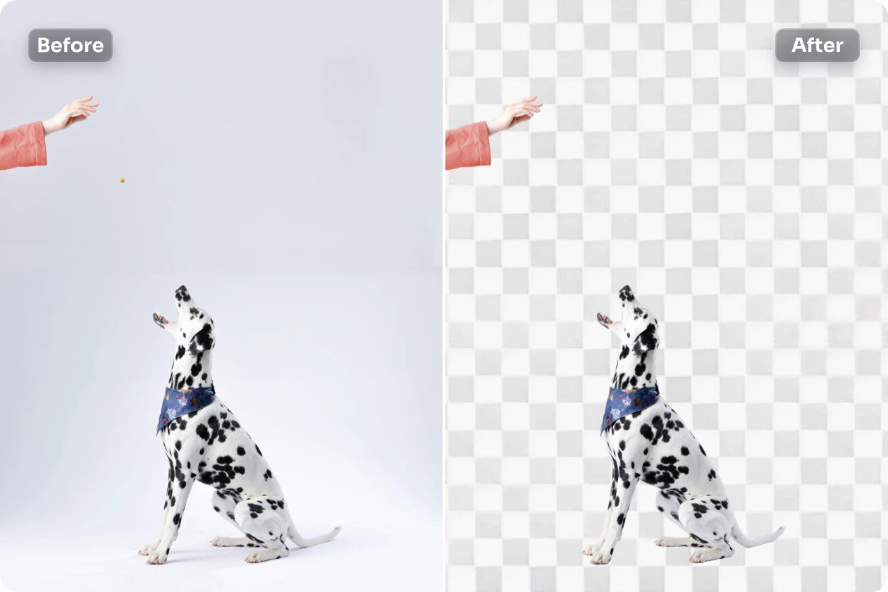 remove the white background from a dalmatian image