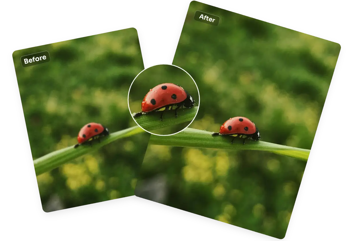 improve the ladybug photo with highquality details in aiease image resolution changer