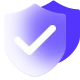 fast and secure icon